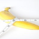 가휘 이미지