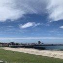 금남농장 | 제주 바닷마을 다이어리 2wks - 3일차 ~ 14일차 (세화해변/지붕위제주바다/귤의정원바령/함덕해수욕장...