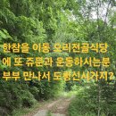 참나무 Daum카페