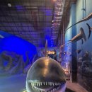 땅끝해양 자연사박물관 이미지