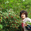 수야농장 이미지