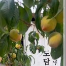 도담한옥