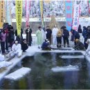얌산 Daum카페