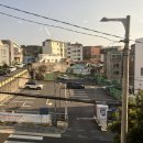 동홍서로 | [서귀포 동홍동] 큐사랑: 자극 없는 천연 염색 + 두피관리