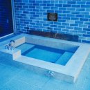 해일리 풀앤스파 이미지