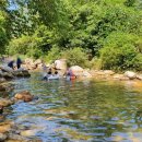 용문산장 펜션 이미지