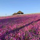 014-운정1-014 네이버블로그
