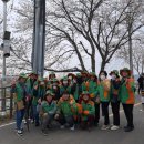 조천변 벚꽃길 이미지