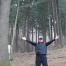 덕유산자연휴양림 이미지