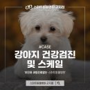 스마트동물병원 군자점 이미지