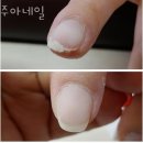 금호타이어 하귀점 이미지