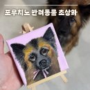 반려감동 - 도봉구 도봉로141길 55 | 포우치노 주문제작 반려동물 초상화 감동 후기 :)