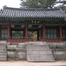 영화당 Daum카페