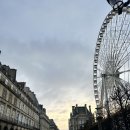 라벤더 민박 이미지