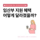 아산시 교통약자이동지원센터 | 2025년 임산부 정부지원 혜택 어떻게 달라졌을까? (천안아산, 교통비, 원스톱)