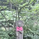 쓴물단물 | 0704 | 아자부다이 전망대