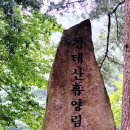 둔내면사무소 | 체험한 잣나무숲 산림욕과 비 오는 날 산책 후기 - 친절한 금자씨의 강원도 산림 힐링 여행 가이드