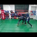 스텝복싱(Step Boxing) 이미지