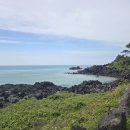 파미에애월 이미지