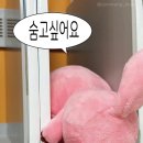 제로스페이스경주