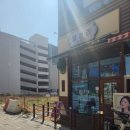 읍천리382검단