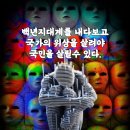 허다하다 이미지