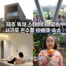 스테이더크로스 네이버블로그