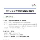 농림축산검역본부(식물검역기술개발센터) 이미지