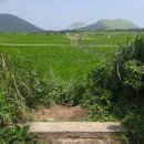 푸른솔목장 이미지