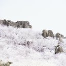 구포3동-8 이미지