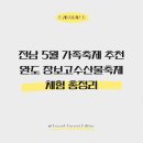 해양전복 티스토리