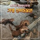 신비펜션 1 | 가평 가볼만한곳 아이랑 실내 놀거리 신비동물원 아쿠아가든 동물 체험 내돈 내산 후기