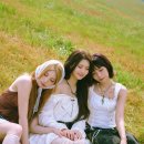 퍼플키스 카카오 검색결과