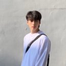 고도리몰 네이버블로그