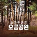 오금공원테니스장 화장실앞 | 송파 오금동 오금공원ㅣ산책하기 좋은 3월 29일 봄날 흙길 데크길 황톳길