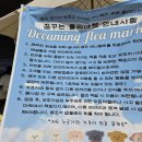 소림농장 | 유기견과 함께한 따뜻한 하루 – ‘꿈꾸는 플리마켓’ 다녀왔어요!