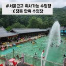(주)연신개발 장흥지점 | 서울근교 취사가능 수영장:장흥 한옥 수영장 고급형 방가로 사용 후기