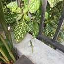 행운게임장 이미지