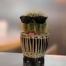 런던동물병원 | 죠죠 보다가 블로그 밀린 사람 일상