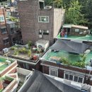 중앙동249 이미지