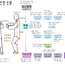 국선도(단전호흡) A반 | [230917] 참장공 요결 강의(후기 모음)