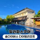 솔 | 말라파스쿠아 한인샵 말파 다이빙리조트 솔다이버스 후기