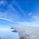 여주-0812 | 오키나와 자유여행 2박3일 렌트카 투어 첫날 날씨 화창!