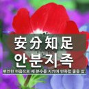 공감글＞ 인생은 타타타! 이미지