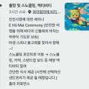 하와이 돌고래 투어 돌핀앤유 돌핀투어 가격과 일정 알아보기