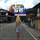 명제 | 나고야 버스투어 시라카와고 다녀온 솔직 후기 1인 68,000원