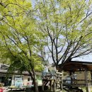 농부네 텃밭 민박 이미지