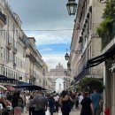 그린스타약국 | 포르투갈 리스본 여행 기념품·쇼핑리스트 총정리｜물감잼·쿠토치약·트램마그넷·정어리통조림