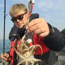 여수쭈꾸미 이미지