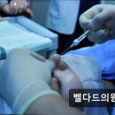 벨다드의원 이미지